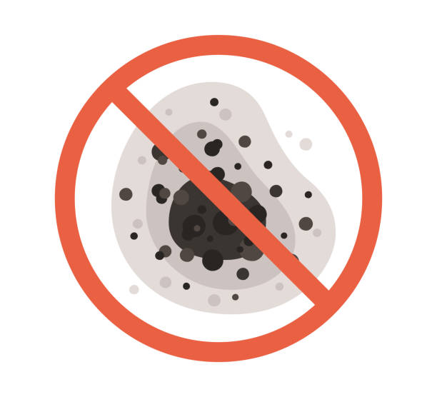 Best Mold Prevention Services  in Fort Thompson, SD