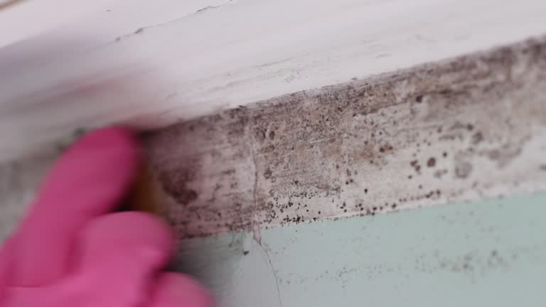 Forensic Mold Investigation in Fort Thompson, SD